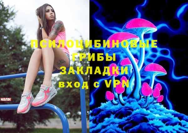 хмурый Алексин