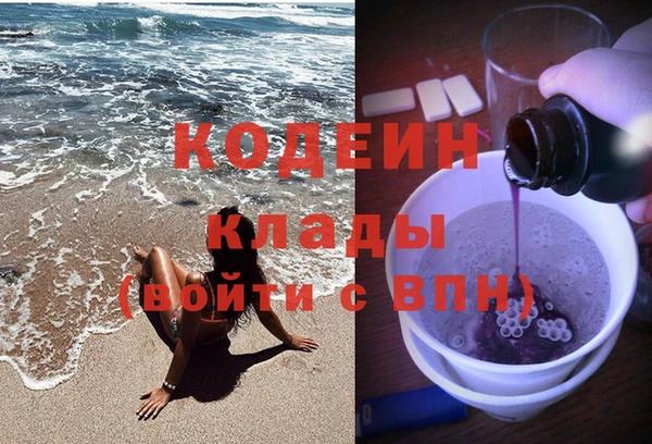 хмурый Алексин