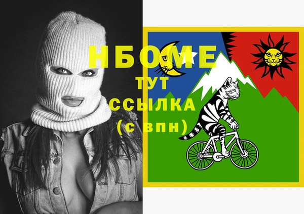 хмурый Алексин