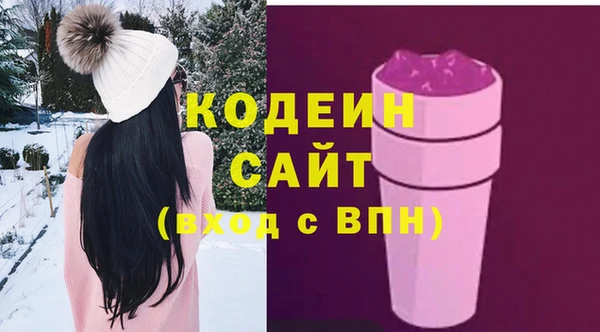 хмурый Алексин